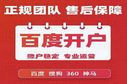 成功企业SEM竞价代运营案例研究